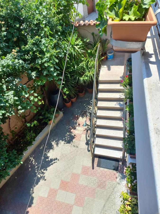 Flowers Guesthouse Tirana Exterior photo