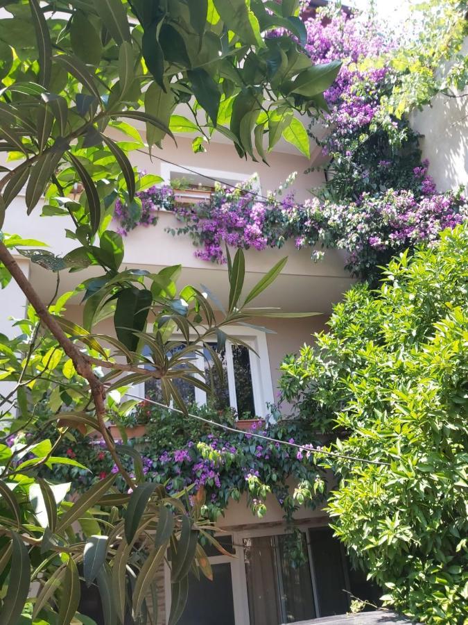 Flowers Guesthouse Tirana Exterior photo