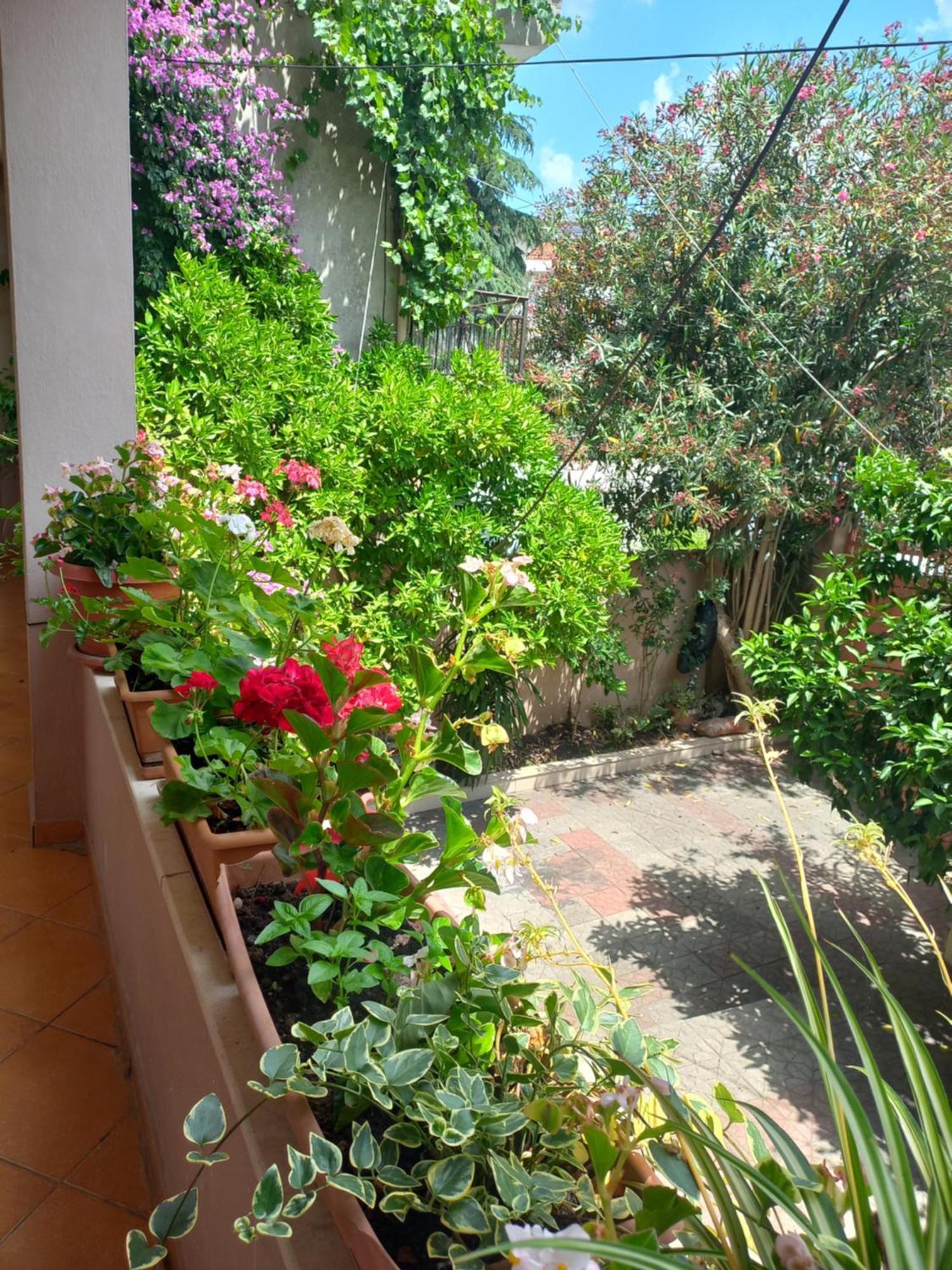 Flowers Guesthouse Tirana Exterior photo